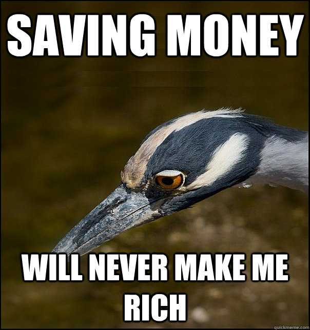 saving money will never make me rich  Sad Realization Heron