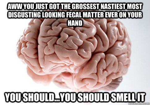 AWW YOU JUST GOT THE GROSSEST NASTIEST MOST DISGUSTING LOOKING FECAL MATTER EVER ON YOUR HAND YOU SHOULD...YOU SHOULD SMELL IT  Scumbag Brain