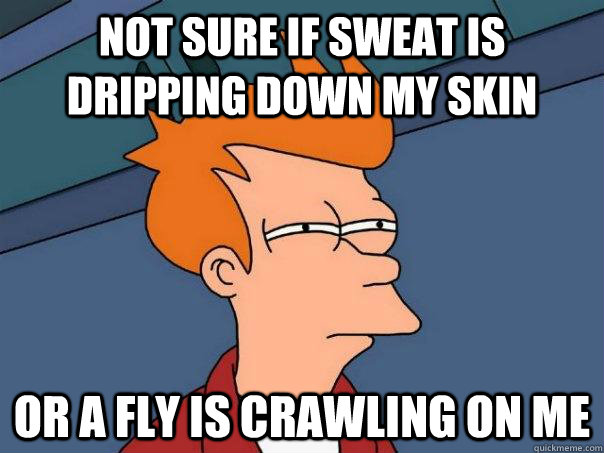 Not sure if sweat is dripping down my skin Or a fly is crawling on me  Futurama Fry