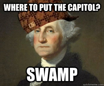 Where to put the capitol? swamp - Where to put the capitol? swamp  Misc