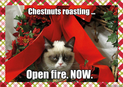 Chestnuts roasting ... Open fire. NOW.  merry christmas