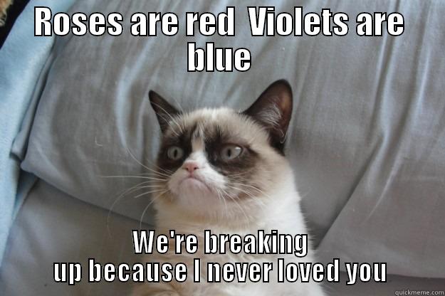 Roses and Violets and Grumpy Love - ROSES ARE RED  VIOLETS ARE BLUE WE'RE BREAKING UP BECAUSE I NEVER LOVED YOU Grumpy Cat