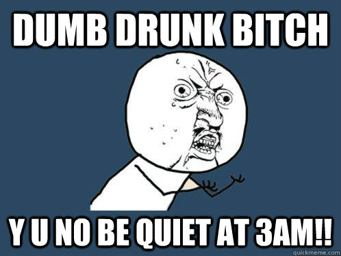 Dumb drunk bitch y u no be quiet at 3am!! - Dumb drunk bitch y u no be quiet at 3am!!  Y U No