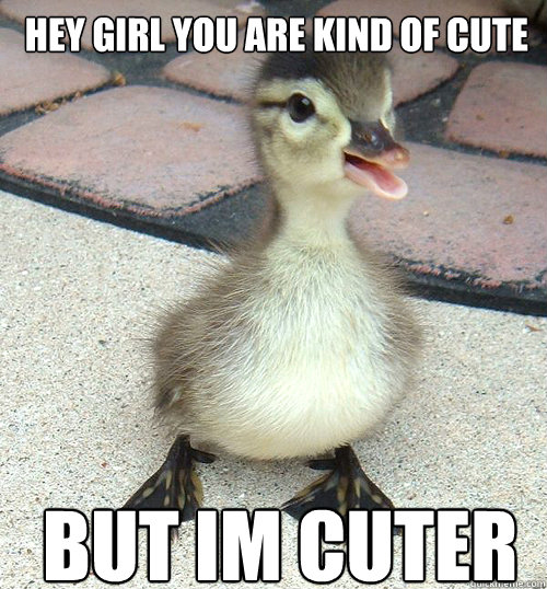 hey girl you are kind of cute but im cuter  