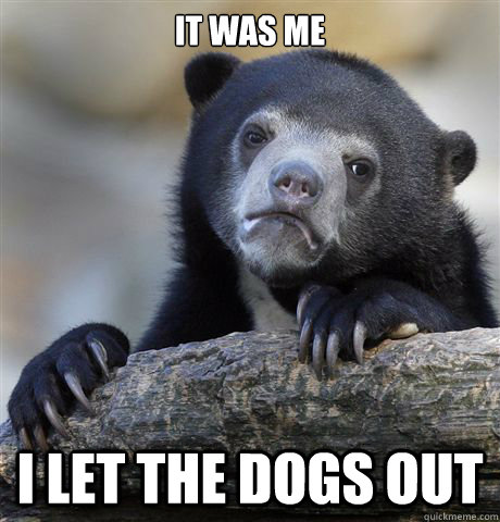 it was me i let the dogs out  Confession Bear