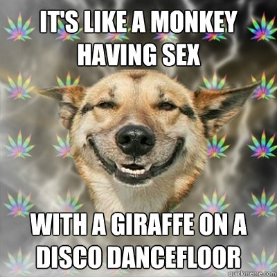 It's like a monkey having sex With a giraffe on a disco dancefloor  Stoner Dog