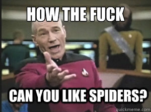 HOW THE FUCK CAN YOU LIKE SPIDERS?  Annoyed Picard