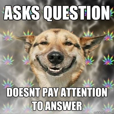 Asks question doesnt pay attention to answer  Stoner Dog