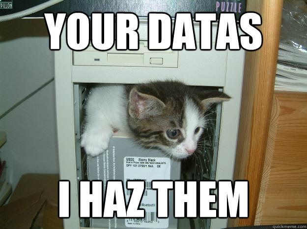 Your datas I Haz them - Your datas I Haz them  Webfont kitten