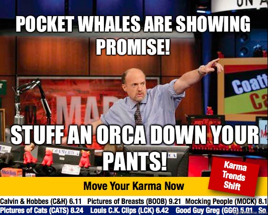 Pocket whales are showing promise! Stuff an orca down your pants!  Mad Karma with Jim Cramer