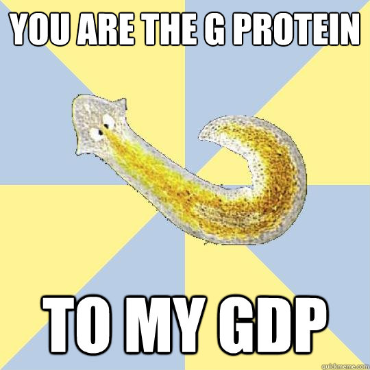 you are the g protein to my gdp  Bio Major Planarian