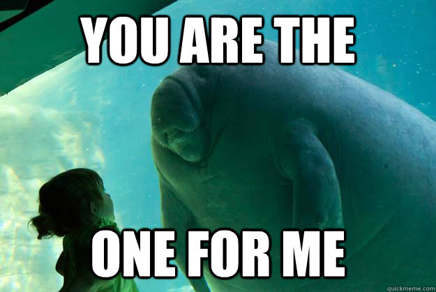 you are the one for me  Overlord Manatee