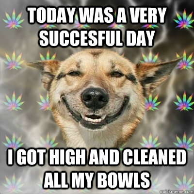 Today was a very succesful day I got high and cleaned all my bowls  Stoner Dog