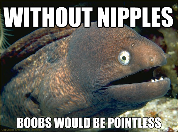 Without nipples Boobs would be Pointless  Bad Joke Eel