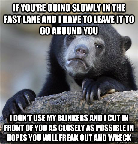 If you're going slowly in the fast lane and i have to leave it to go around you i don't use my blinkers and i cut in front of you as closely as possible in hopes you will freak out and wreck - If you're going slowly in the fast lane and i have to leave it to go around you i don't use my blinkers and i cut in front of you as closely as possible in hopes you will freak out and wreck  Confession Bear