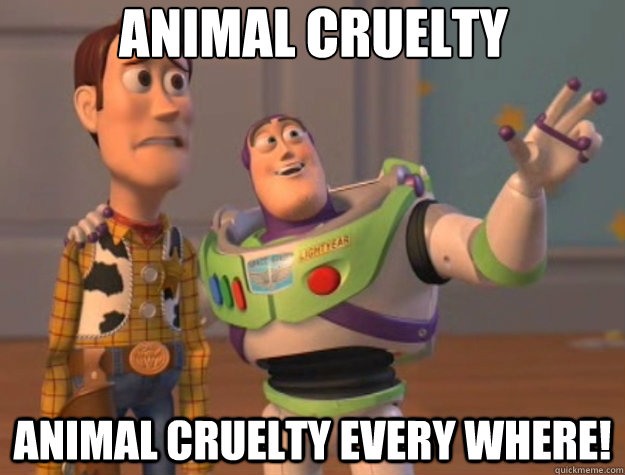 Animal Cruelty animal cruelty every where!  Toy Story