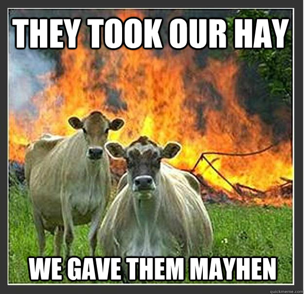 They took our hay we gave them mayhen   Evil cows