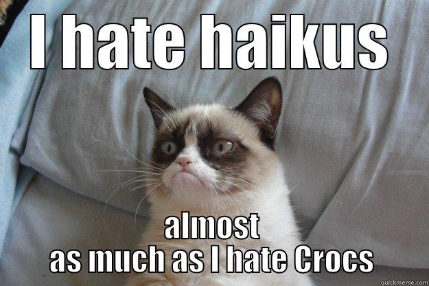 I HATE HAIKUS ALMOST AS MUCH AS I HATE CROCS Grumpy Cat