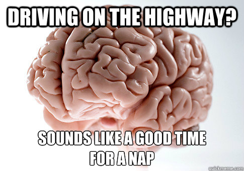 driving on the highway? sounds like a good time 
for a nap  Scumbag Brain