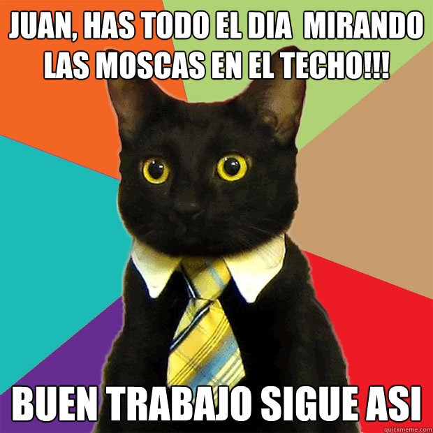 JUAN, HAS TODO EL DIA  MIRANDO LAS MOSCAS EN EL TECHO!!! BUEN TRABAJO SIGUE ASI  Business Cat