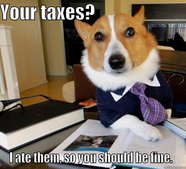 YOUR TAXES?                           I ATE THEM, SO YOU SHOULD BE FINE.  Lawyer Dog