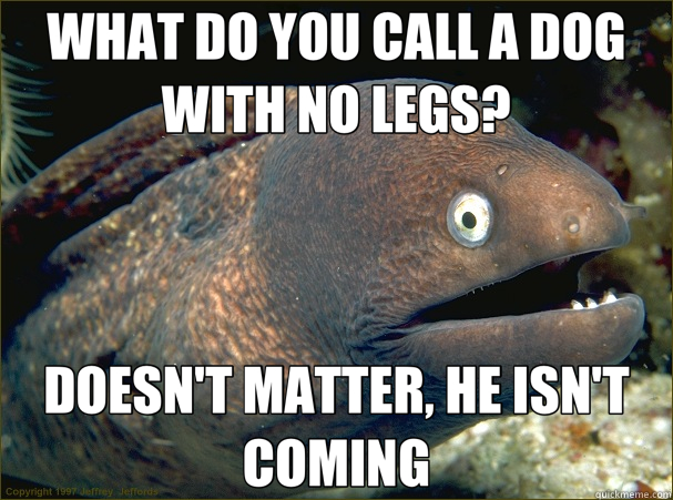 WHAT DO YOU CALL A DOG WITH NO LEGS? DOESN'T MATTER, HE ISN'T COMING  Bad Joke Eel