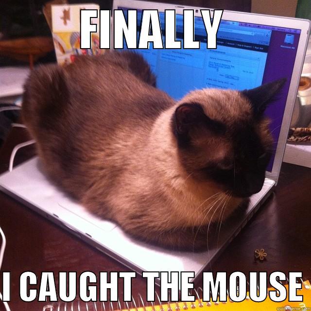 FINALLY  I CAUGHT THE MOUSE Misc