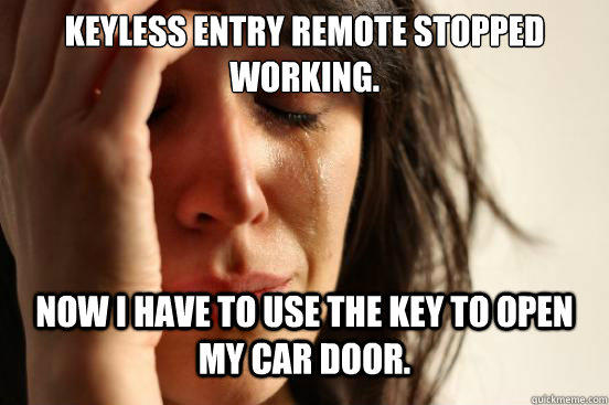 Keyless entry remote stopped working. Now I have to use the key to open my car door. - Keyless entry remote stopped working. Now I have to use the key to open my car door.  First World Problems