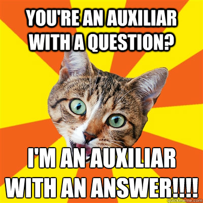 You're an Auxiliar with a question? I'm an Auxiliar with an answer!!!!  Bad Advice Cat