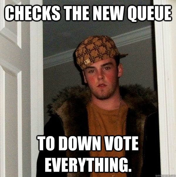 checks the new queue  to down vote everything. - checks the new queue  to down vote everything.  Scumbag Steve