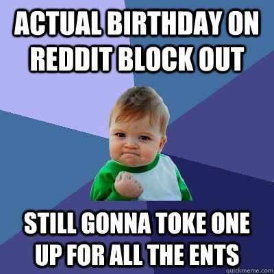 actual birthday on reddit block out still gonna toke one up for all the ents  Success Kid