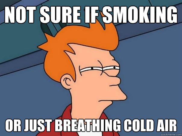 Not sure if smoking Or just breathing cold air - Not sure if smoking Or just breathing cold air  Futurama Fry