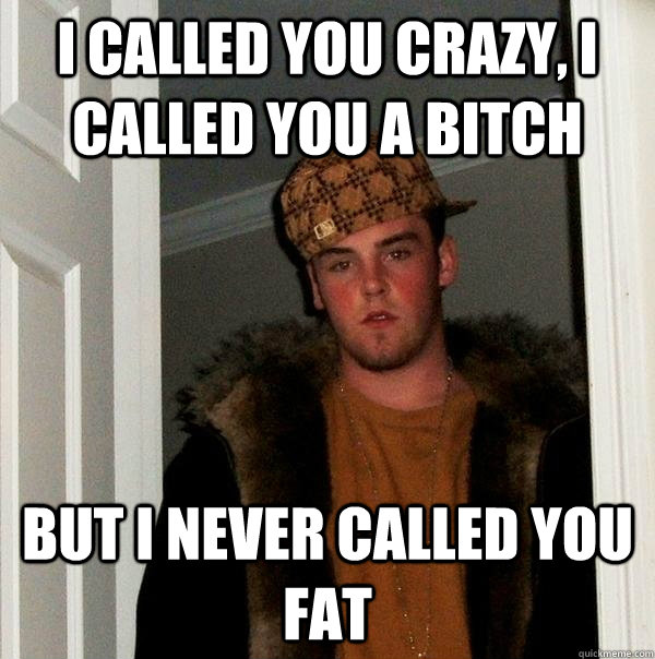 I called you crazy, I called you a bitch But I never called you fat  Scumbag Steve