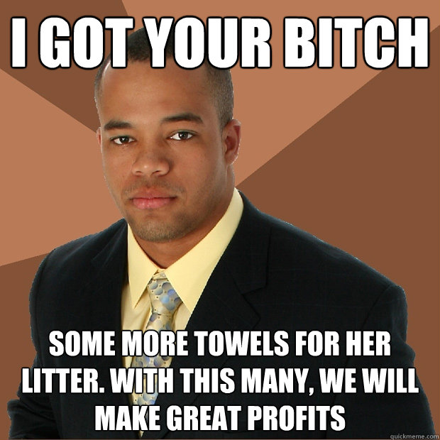 i got your bitch some more towels for her litter. With this many, we will make great profits   Successful Black Man