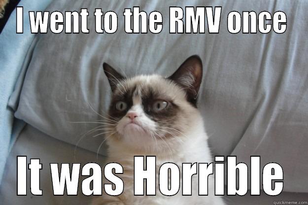 I WENT TO THE RMV ONCE IT WAS HORRIBLE Grumpy Cat