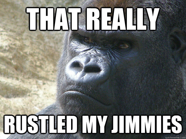 That really rustled my jimmies - That really rustled my jimmies  Rustled My Jimmies