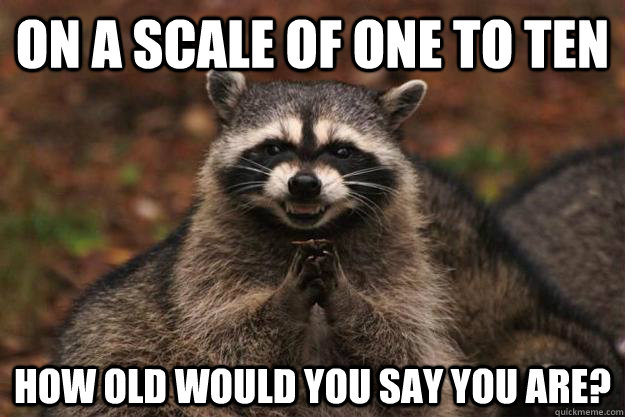 On a scale of one to ten how old would you say you are?  Evil Plotting Raccoon