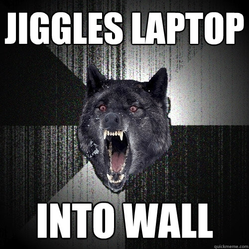 Jiggles laptop into wall - Jiggles laptop into wall  Insanity Wolf