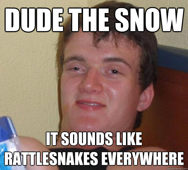 Dude the snow it sounds like rattlesnakes everywhere - Dude the snow it sounds like rattlesnakes everywhere  10 Guy