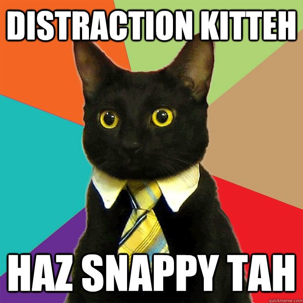 DISTRACTION KITTEH haz snappy tah  Business Cat