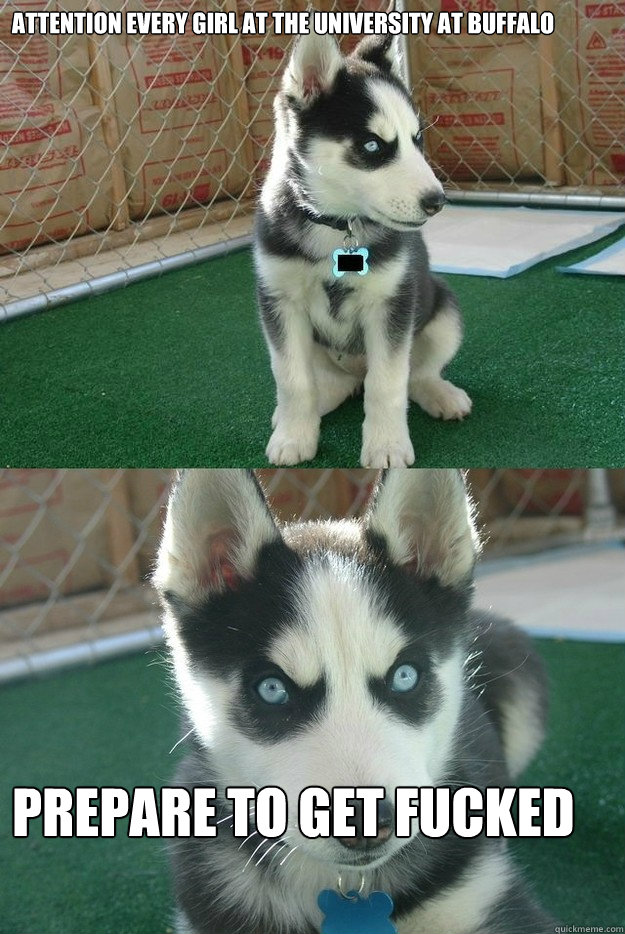 Attention every girl at the University at Buffalo Prepare to get fucked  Insanity puppy