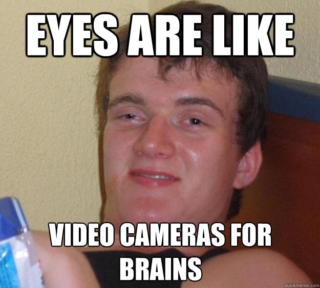 eyes are like  video cameras for brains  10 Guy