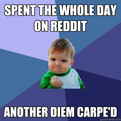 Spent the whole day on reddit Another diem carpe'd  Success Kid