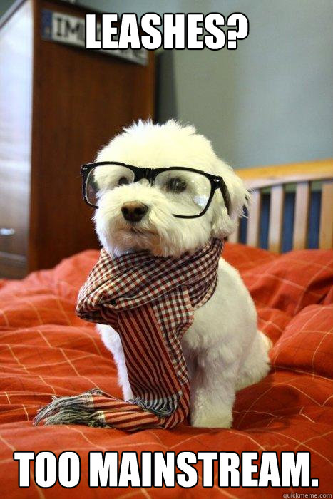 Leashes? too mainstream.  Hipster Dog