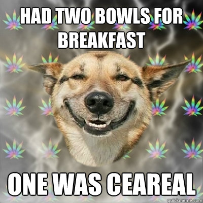 Had two bowls for breakfast One was ceareal  Stoner Dog