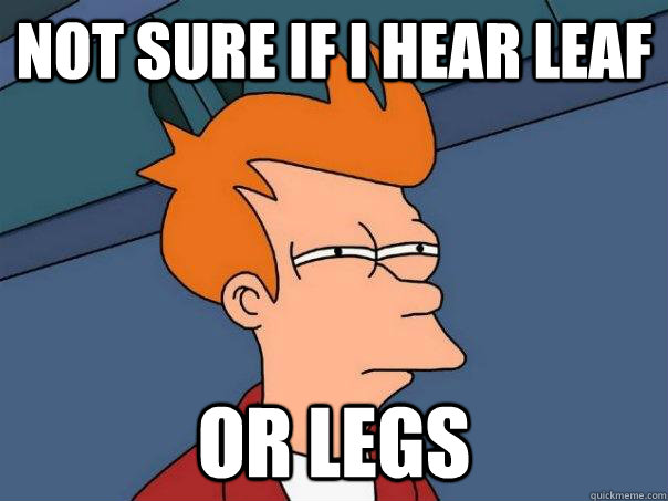 Not sure if i hear leaf Or legs  Futurama Fry