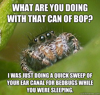 What are you doing with that can of Bop? I was just doing a quick sweep of your ear canal for bedbugs while you were sleeping.  Misunderstood Spider