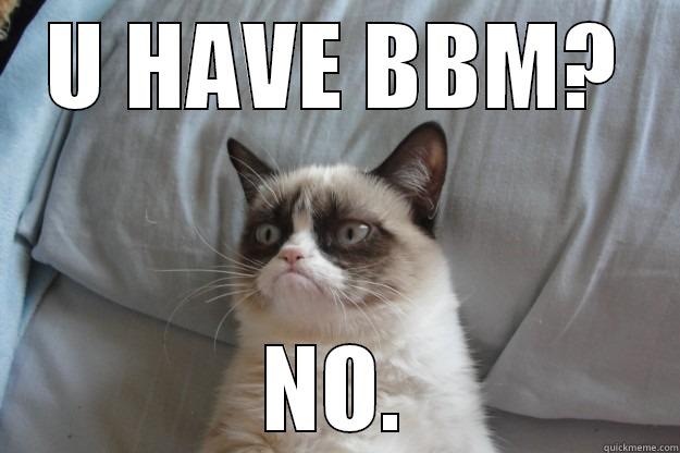 U HAVE BBM? NO. Grumpy Cat