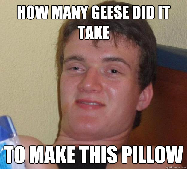 How many geese did it take to make this pillow  10 Guy