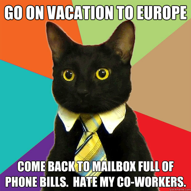 Go on vacation to Europe Come back to mailbox full of phone bills.  Hate my co-workers.  Business Cat